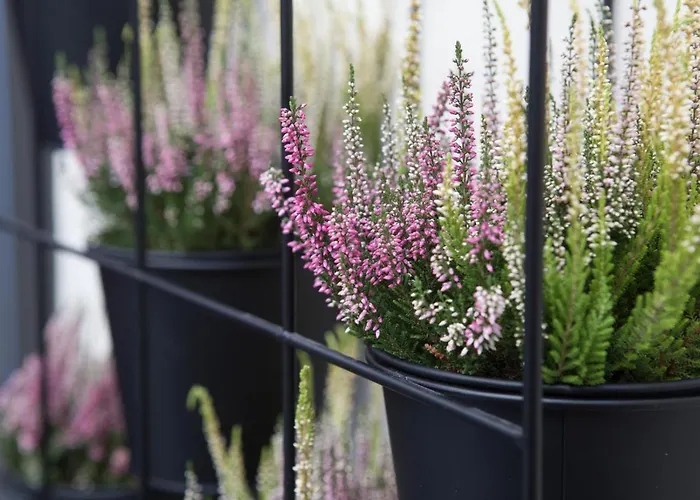 Apartamento Effie's Cozy Old Town Rethymno